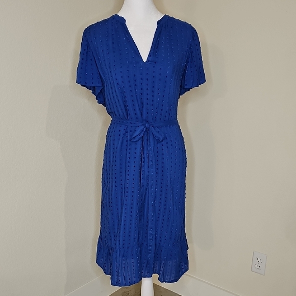 Ann Taylor Factory Dresses & Skirts - Ann Taylor Blue V-Neck Flutter Sleeve Dress Sz XL